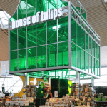 csm_HouseOfTulips_e1ab0190fd